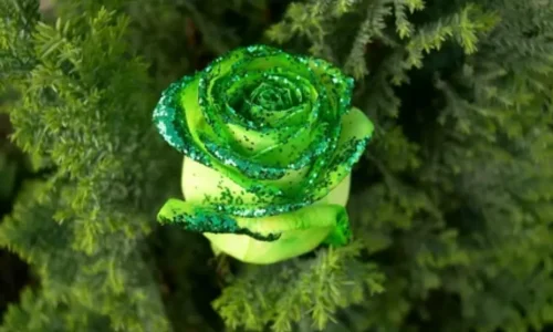 Подарки с национальной кухней