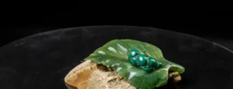 Сертификаты на мастер-классы и курсы